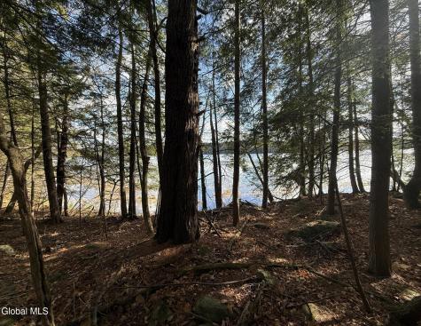 12 Teds Way Diamond Point NY 12824