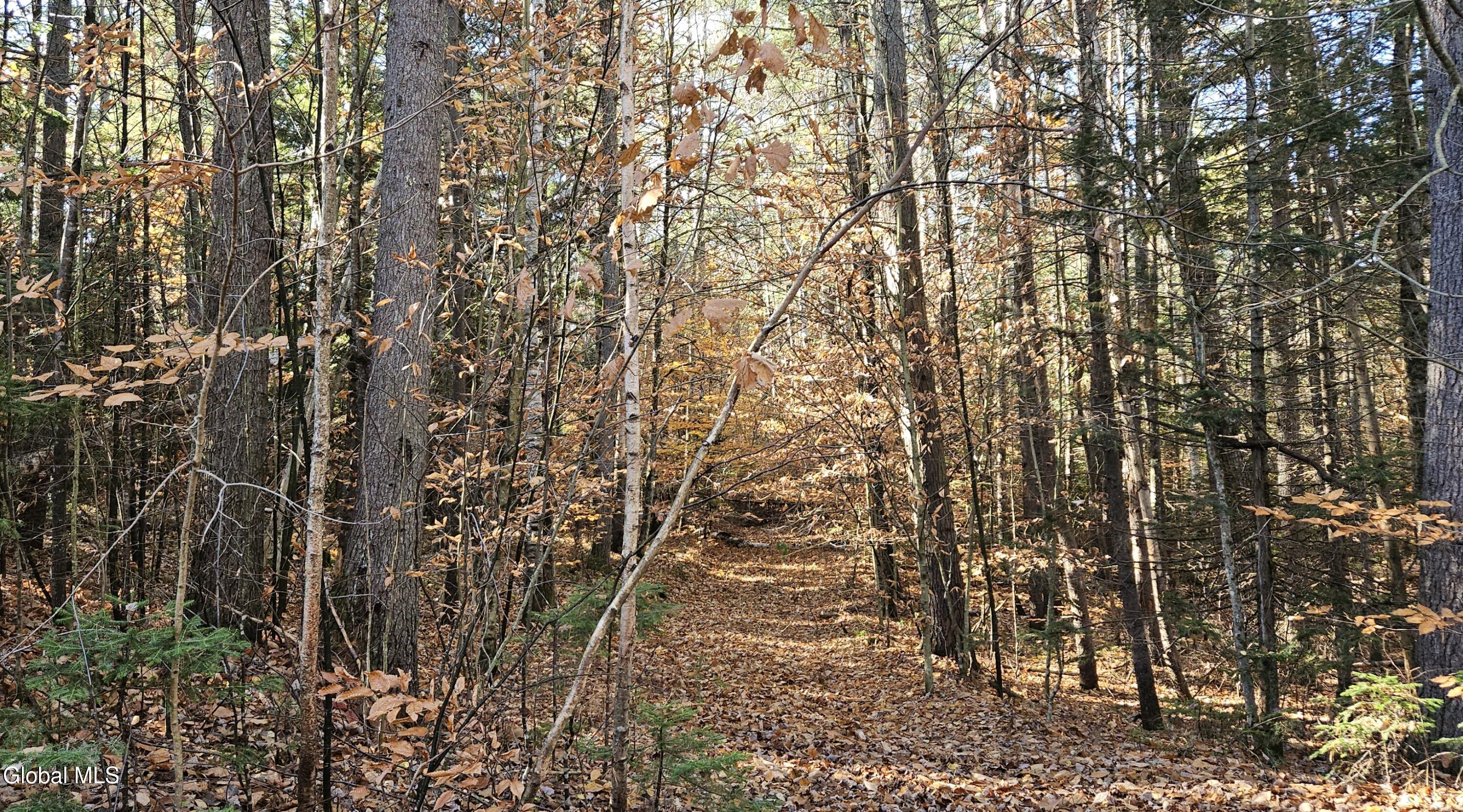 183 Mountain Path North Creek NY 12853