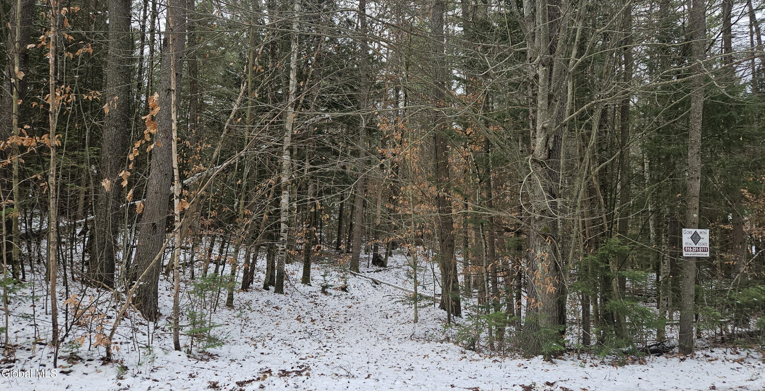 183 Mountain Path North Creek NY 12853