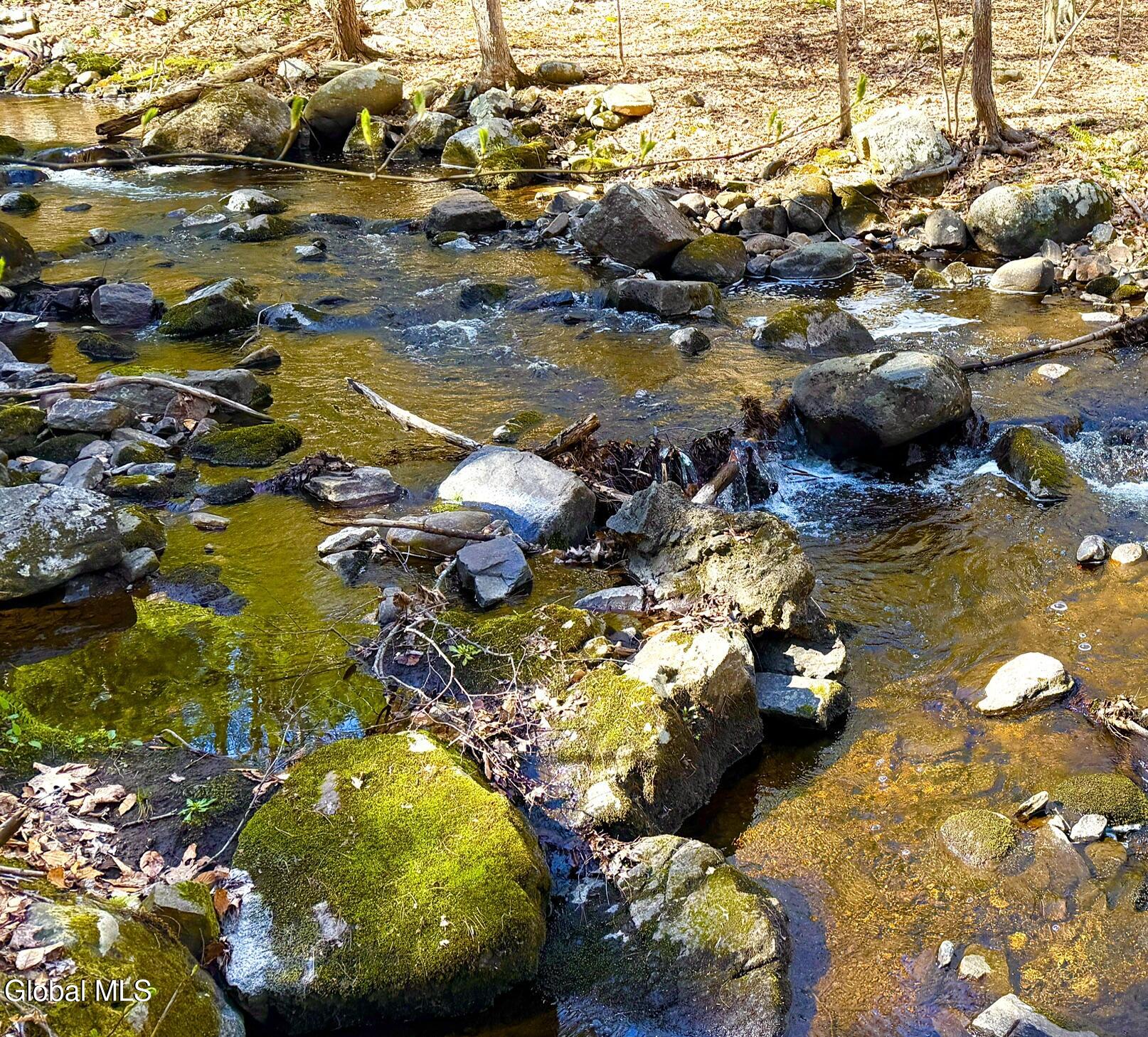 L7 Wilton Greenfield Road Wilton NY 12831