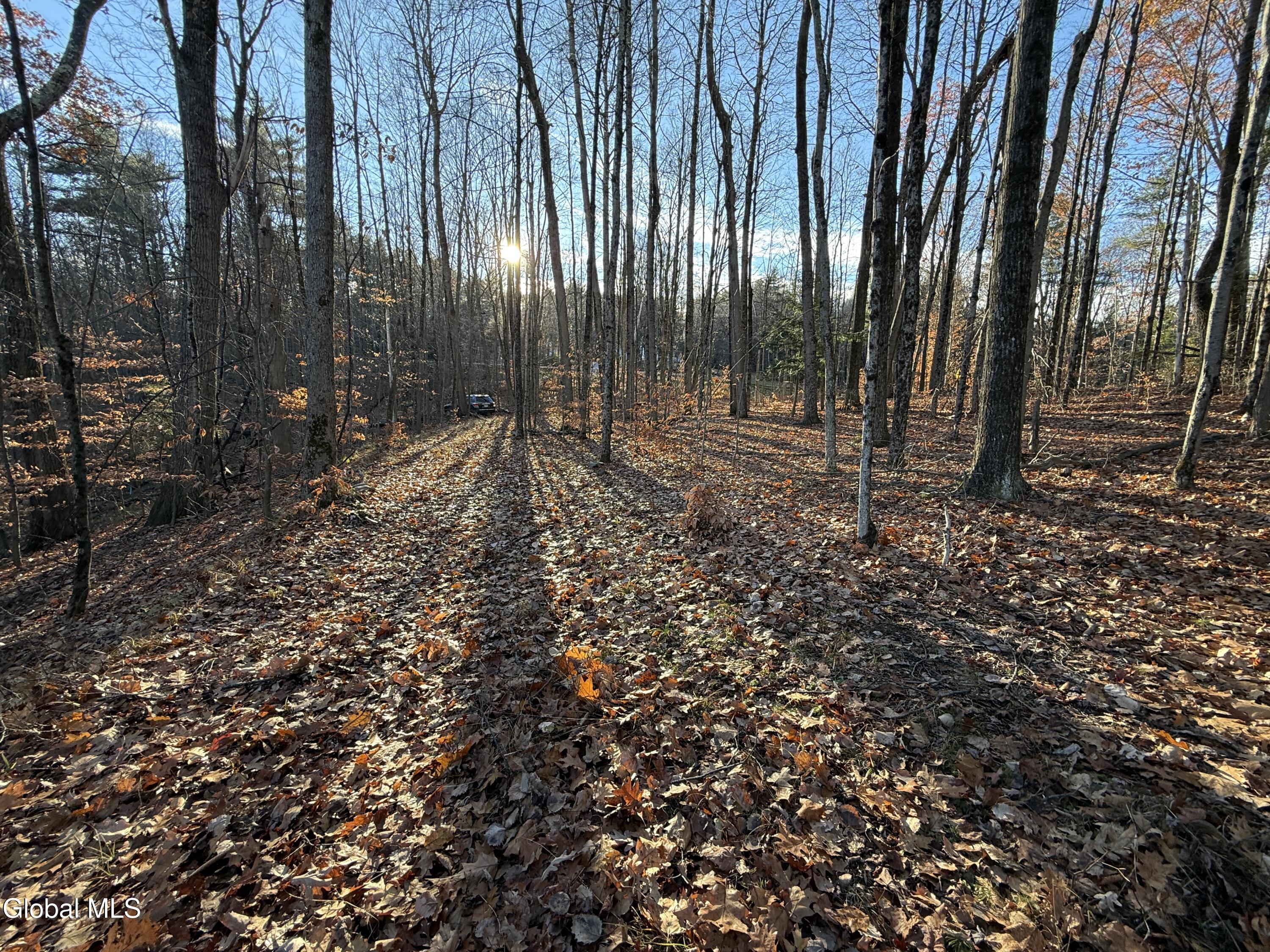 L7 Wilton Greenfield Road Wilton NY 12831