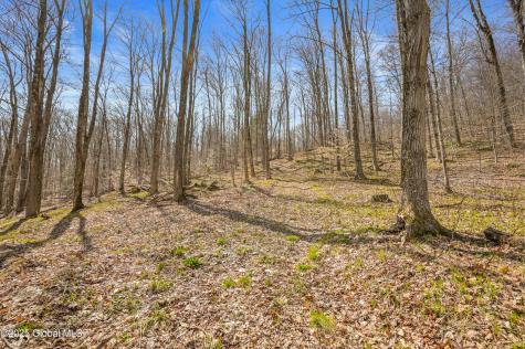 L9.113 Lutheranville Road East Worcester NY 12175