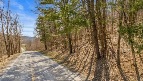 L9.113 Lutheranville Road East Worcester NY 12175