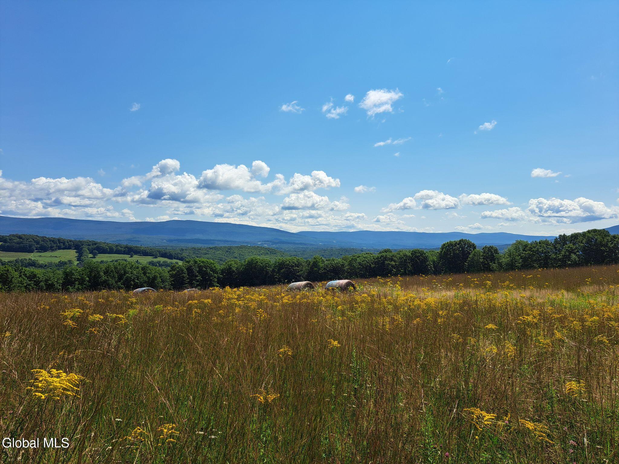 L 9.1 State Line Road White Creek NY 12057