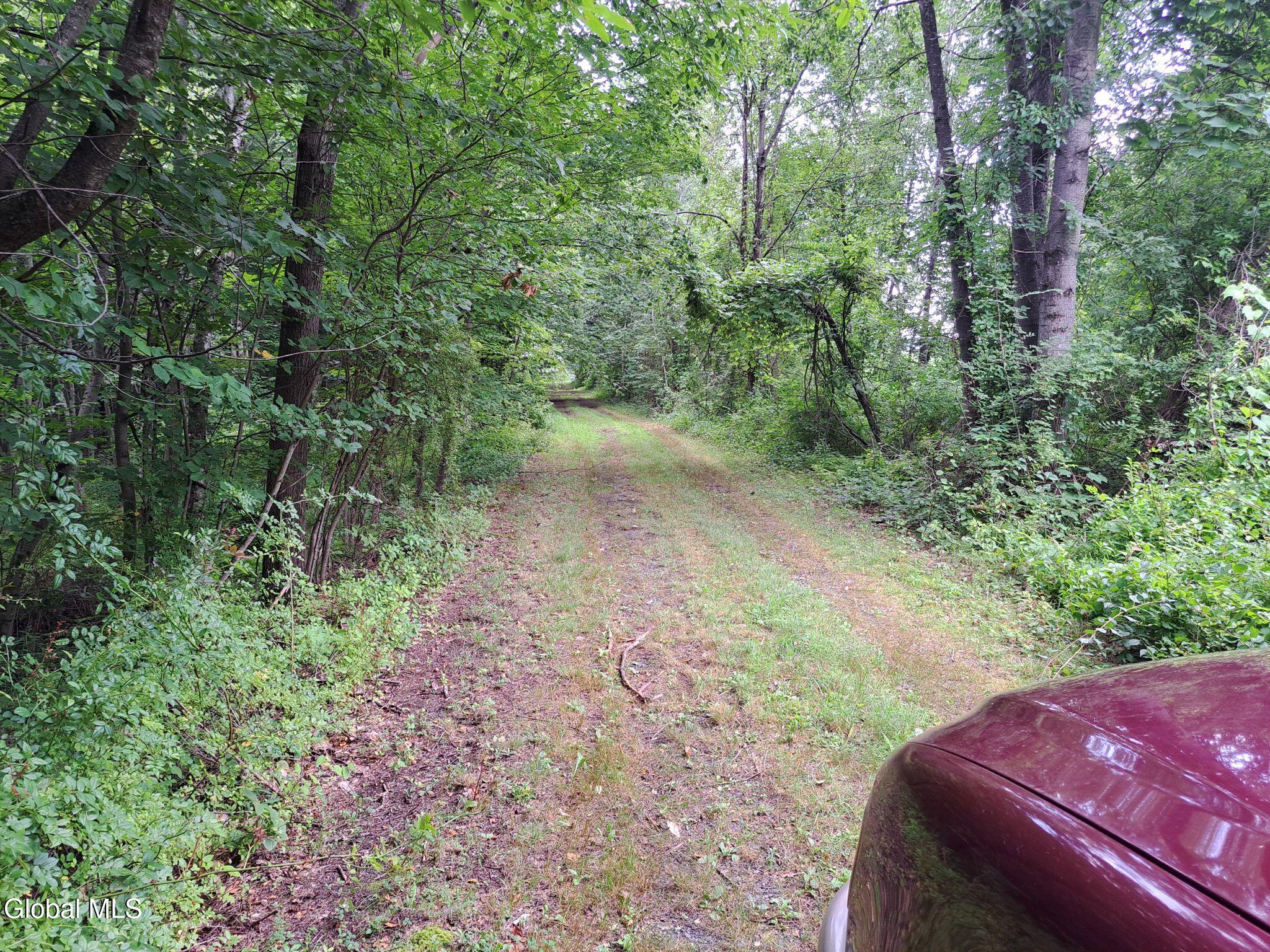 L 9.1 State Line Road White Creek NY 12057