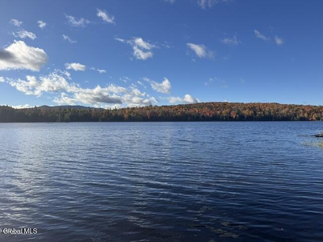 L23 Lake Snow Road Indian Lake NY 12842
