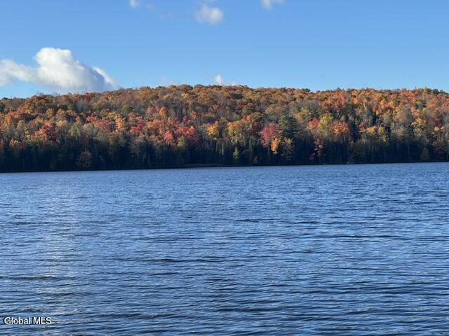 L23 Lake Snow Road Indian Lake NY 12842