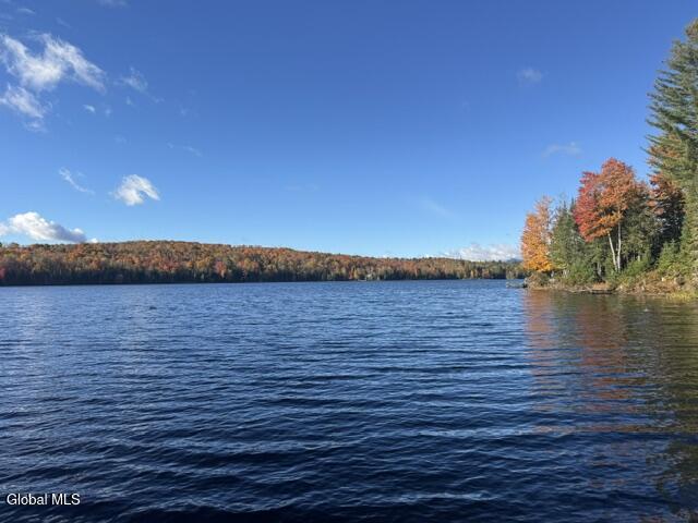 L23 Lake Snow Road Indian Lake NY 12842