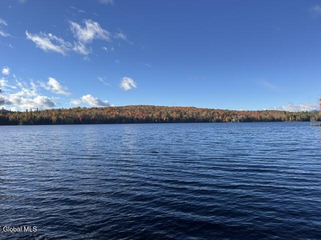 L23 Lake Snow Road Indian Lake NY 12842