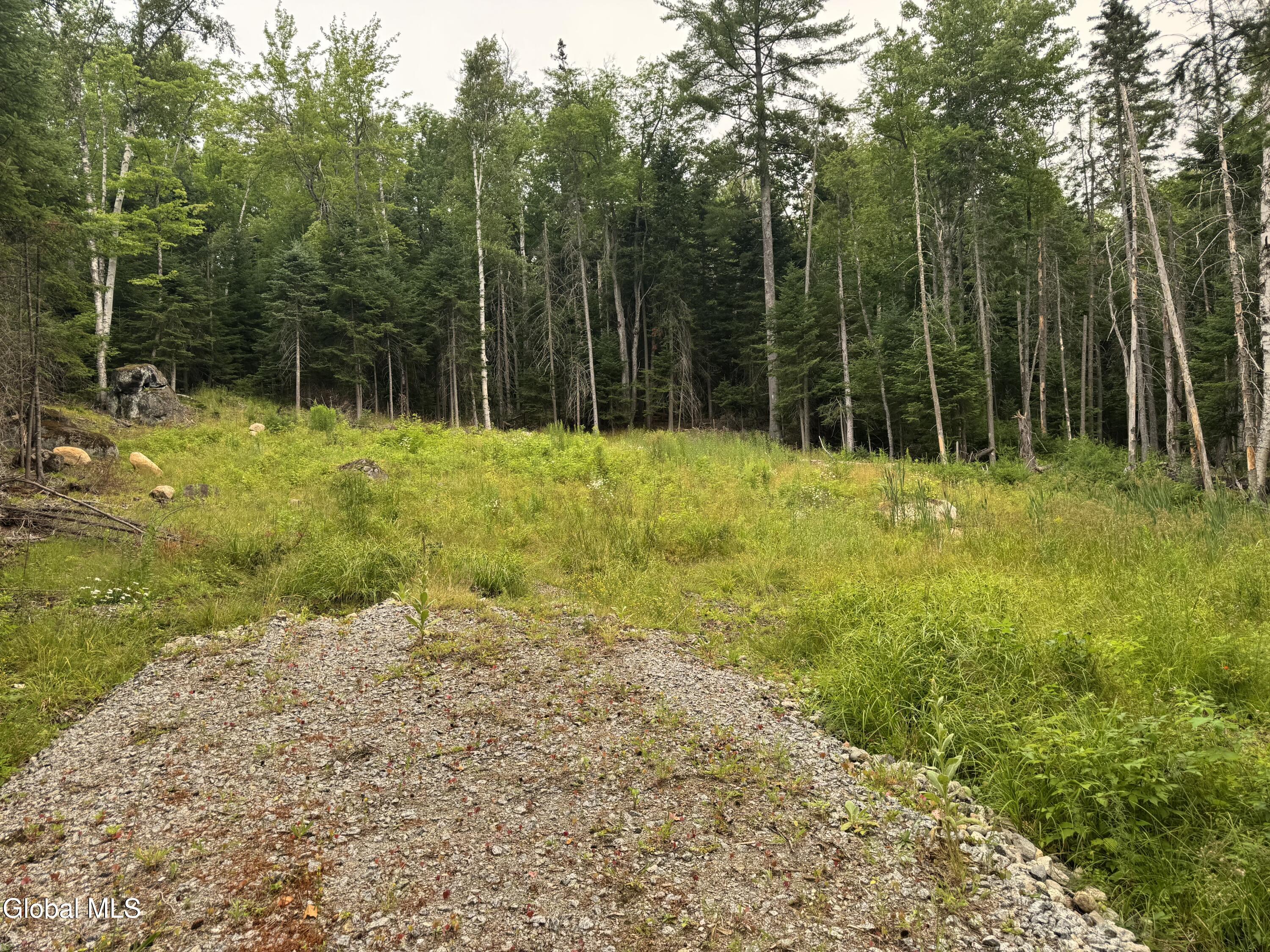 L23 Lake Snow Road Indian Lake NY 12842