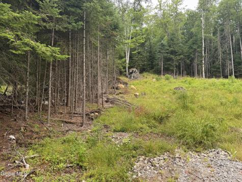 L23 Lake Snow Road Indian Lake NY 12842