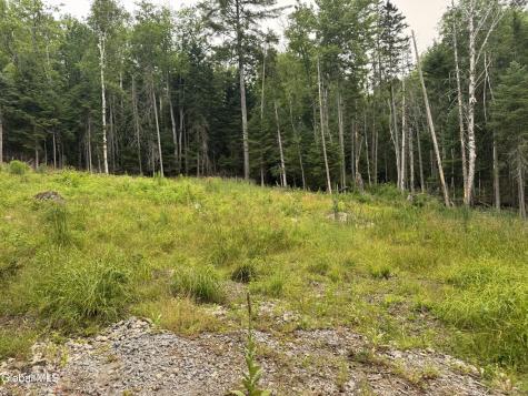 L23 Lake Snow Road Indian Lake NY 12842