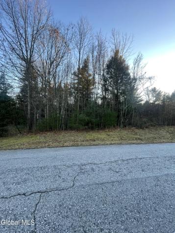 L2.1 Landon Drive Gloversville NY 12078