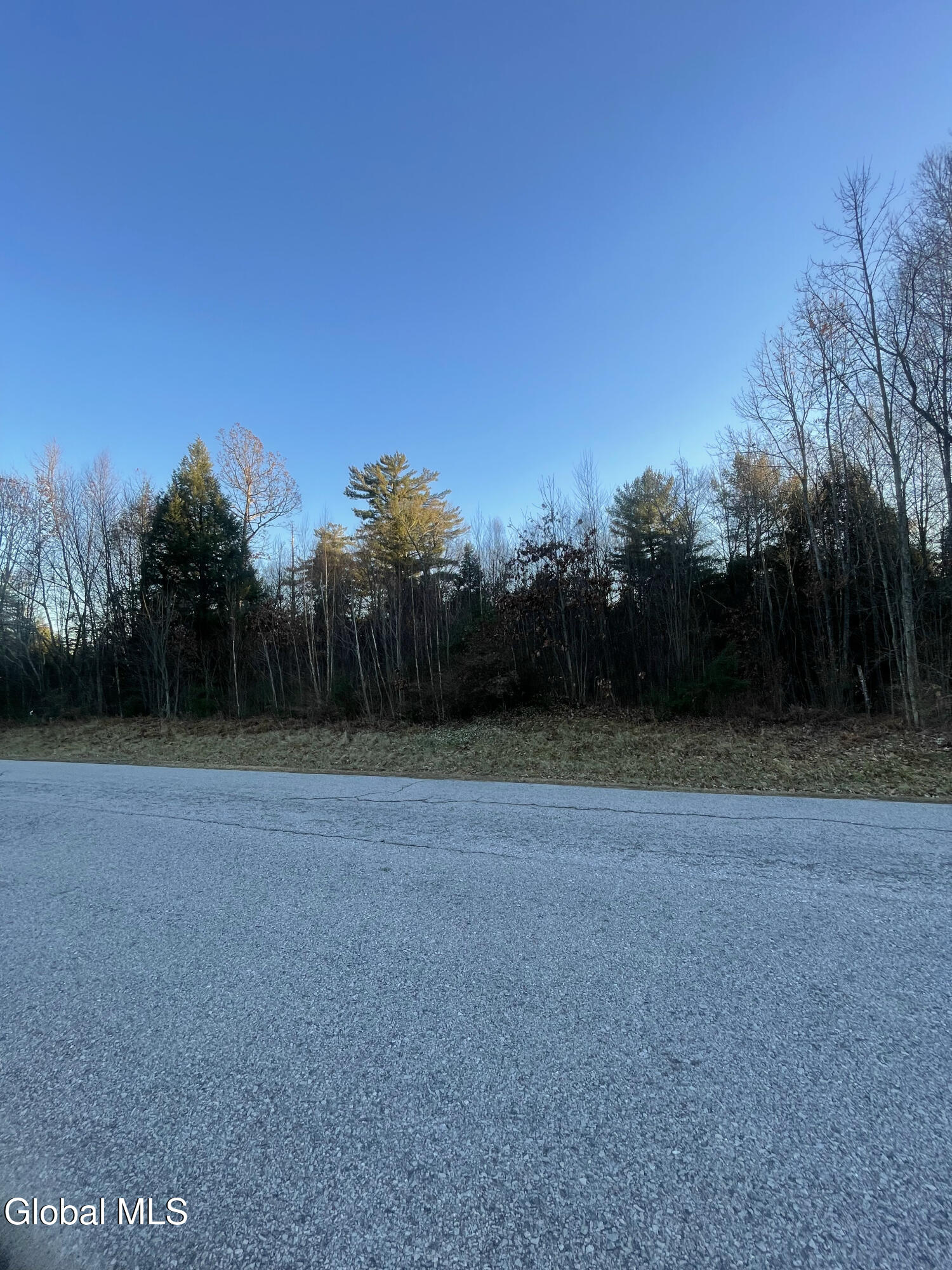 L2.1 Landon Drive Gloversville NY 12078