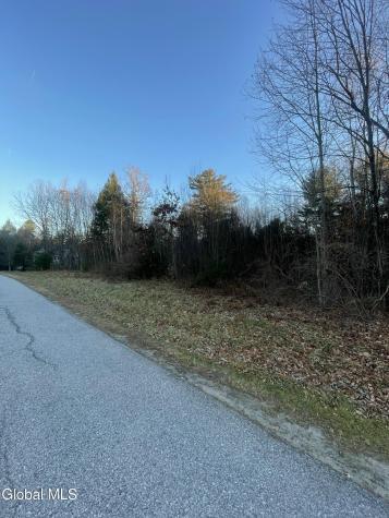 L2.1 Landon Drive Gloversville NY 12078
