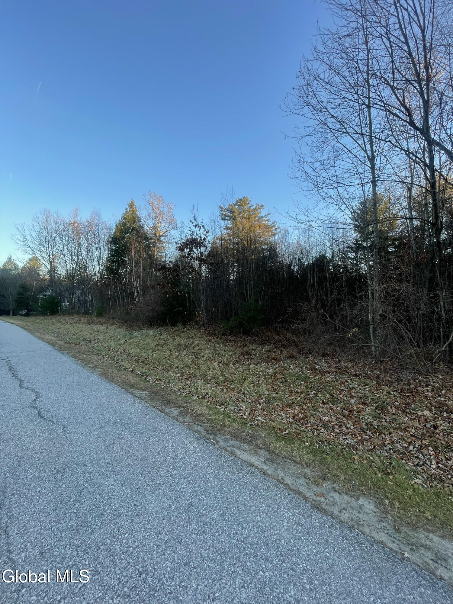 L2.1 Landon Drive Gloversville NY 12078