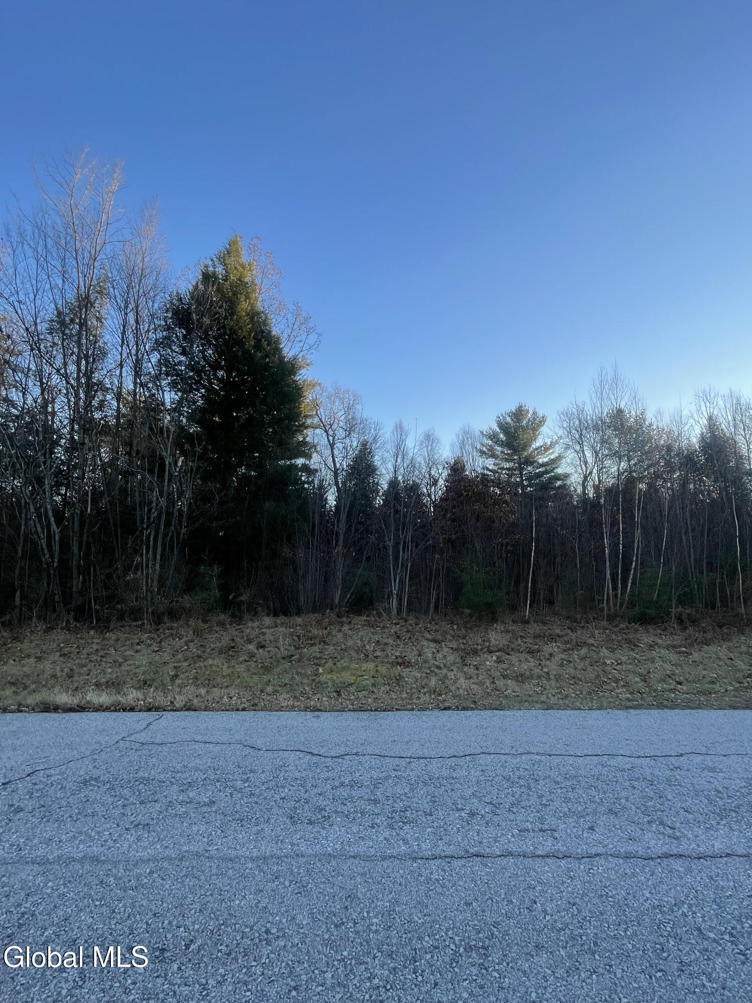L2.1 Landon Drive Gloversville NY 12078