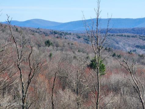 L1 Lang Road Summit NY 12175