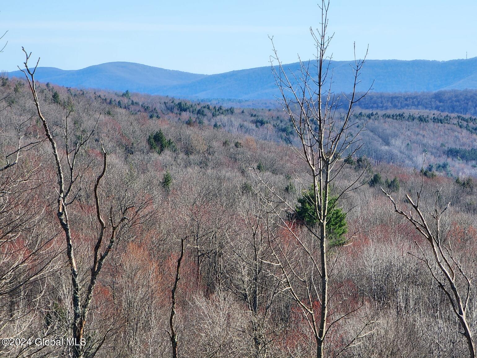 L1 Lang Road Summit NY 12175