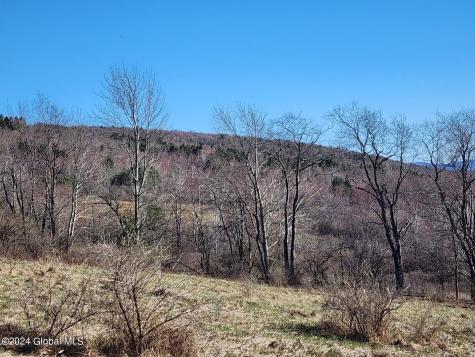 L1 Lang Road Summit NY 12175