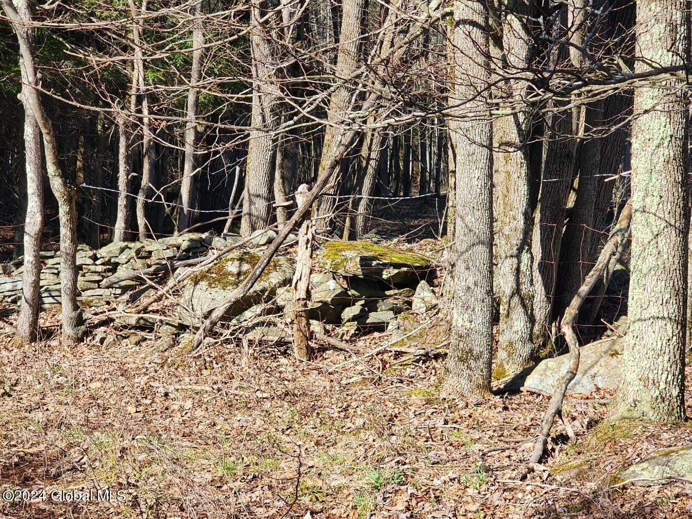 L1 Lang Road Summit NY 12175