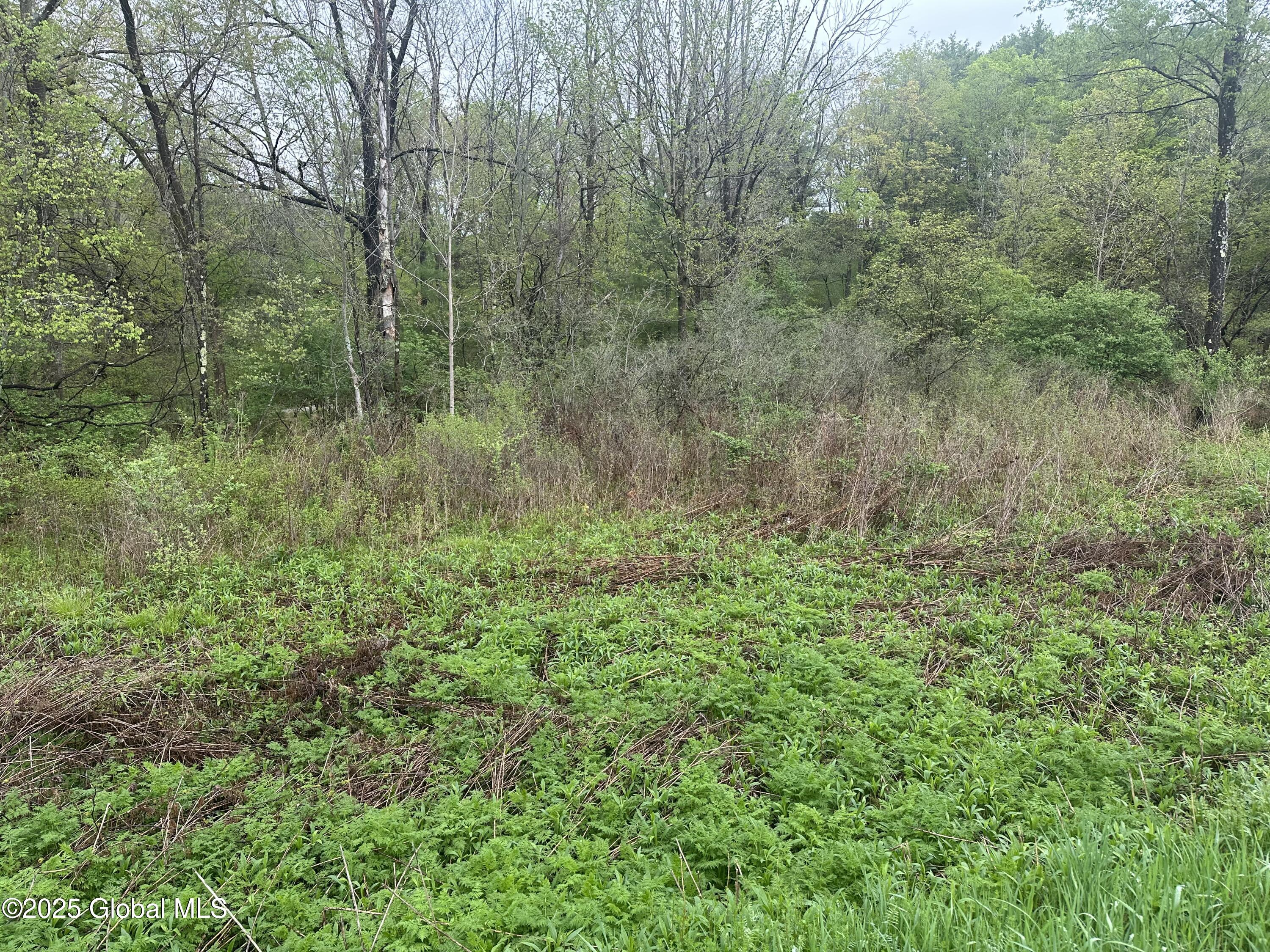 144 Factory Hollow Road Valley Falls NY 12185