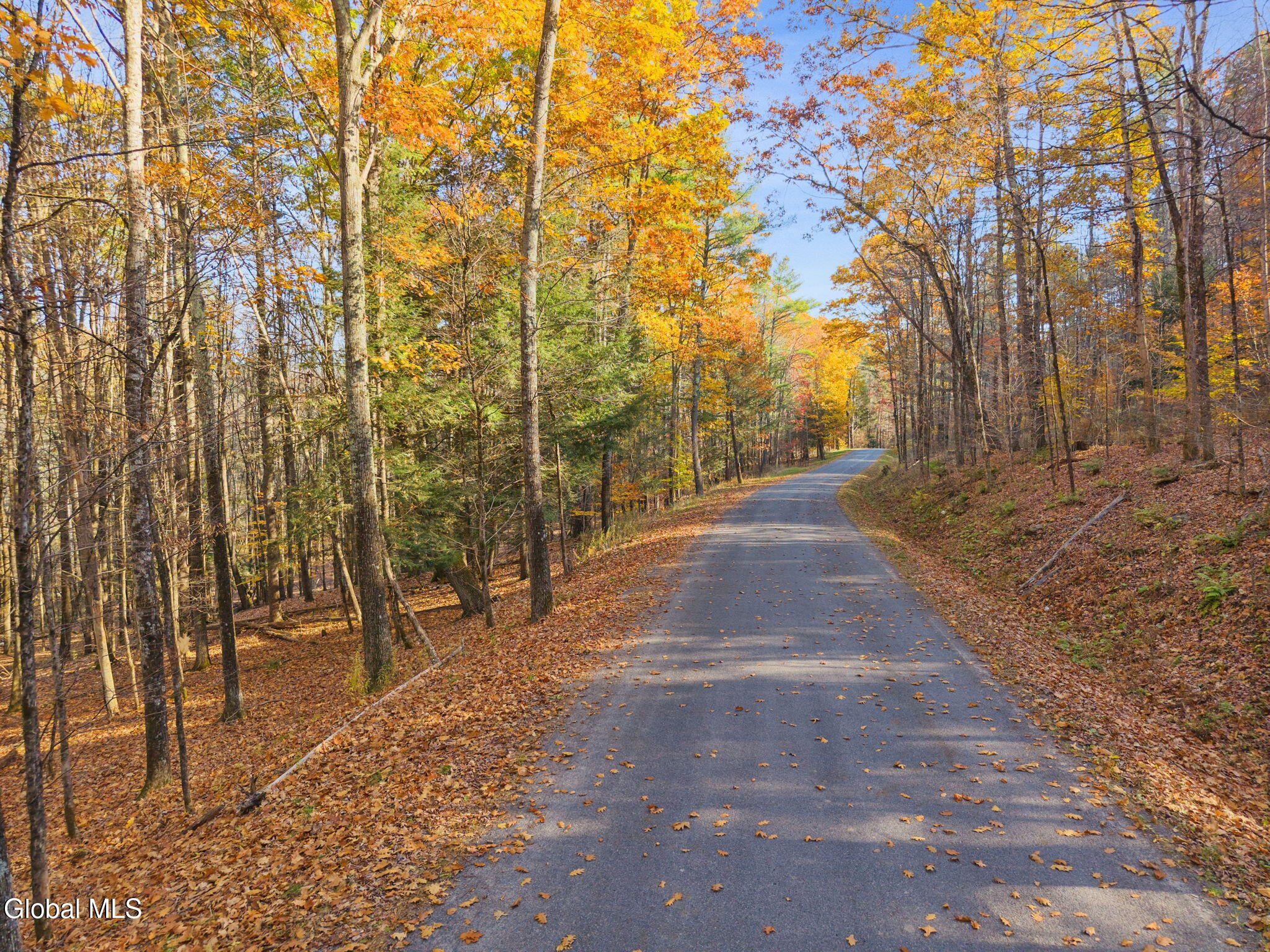 505 Gridley Road Middleburgh NY 12122