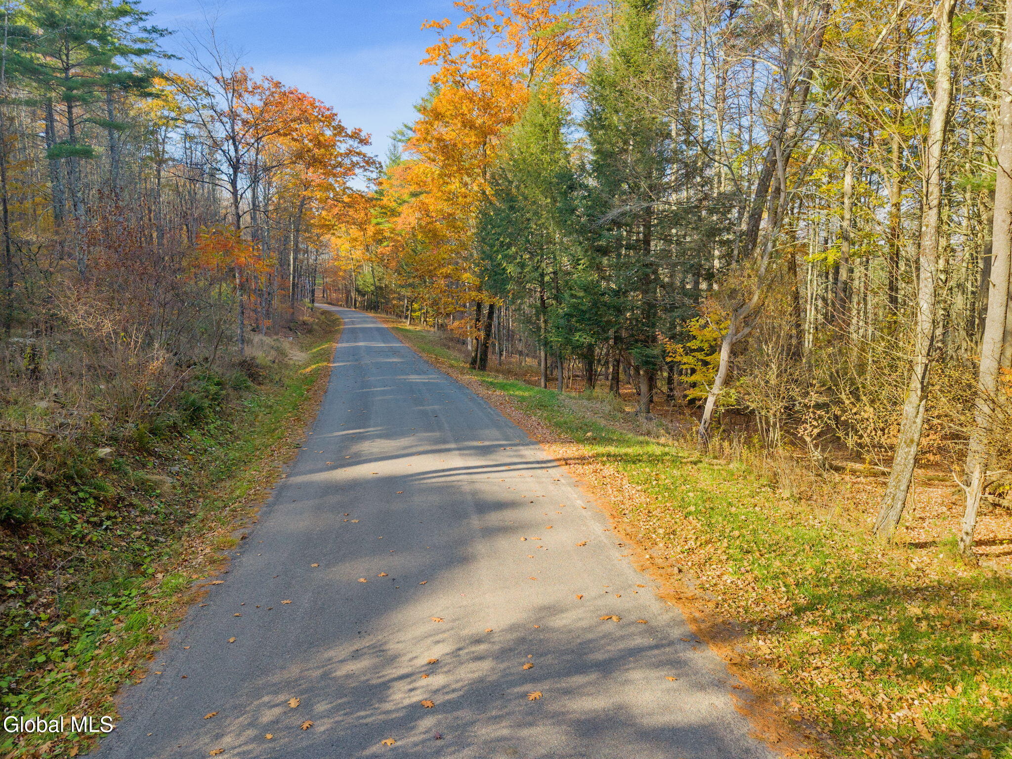 505 Gridley Road Middleburgh NY 12122