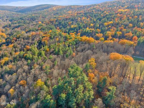 505 Gridley Road Middleburgh NY 12122