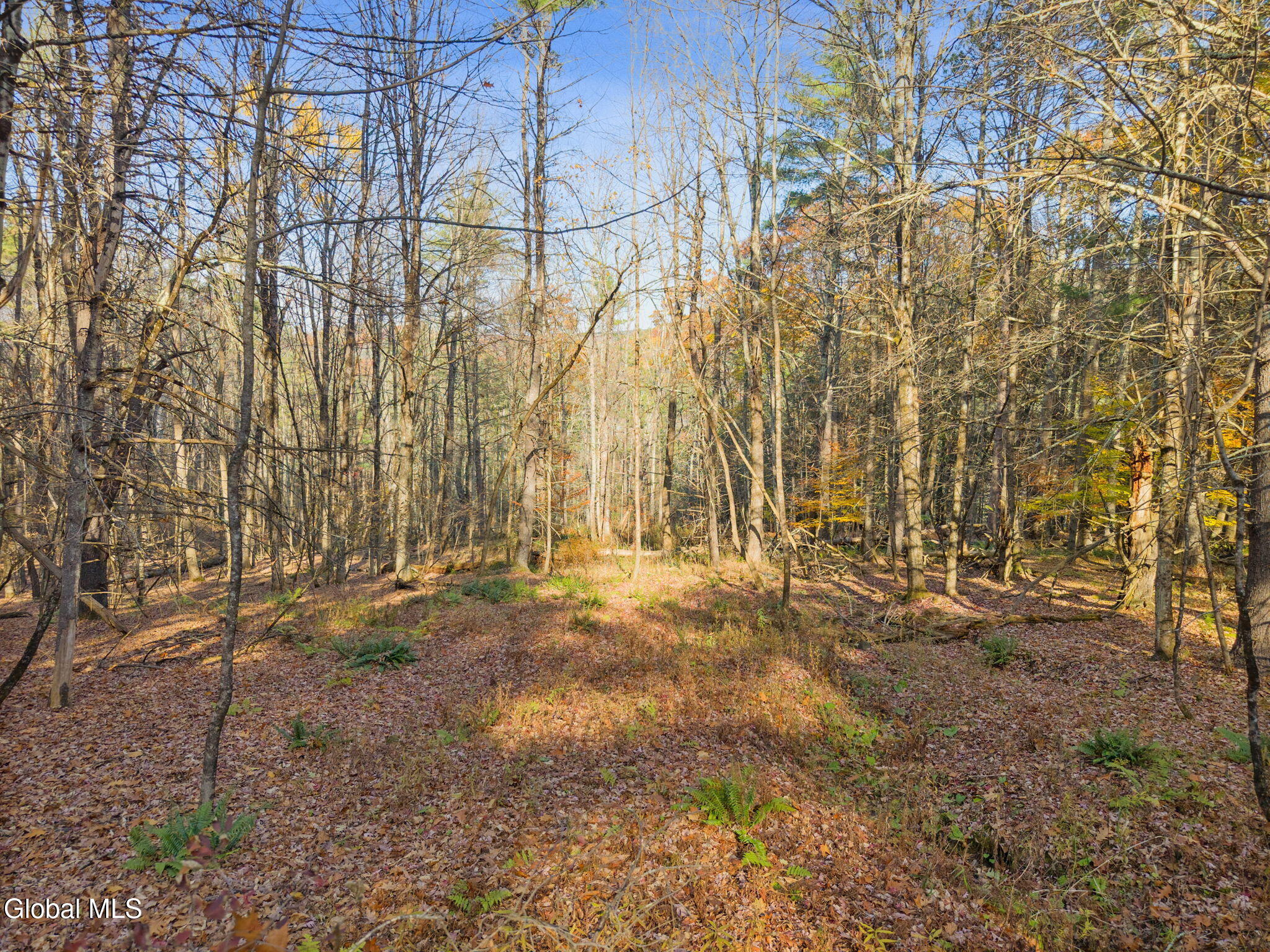 505 Gridley Road Middleburgh NY 12122