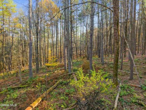 505 Gridley Road Middleburgh NY 12122