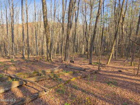 505 Gridley Road Middleburgh NY 12122