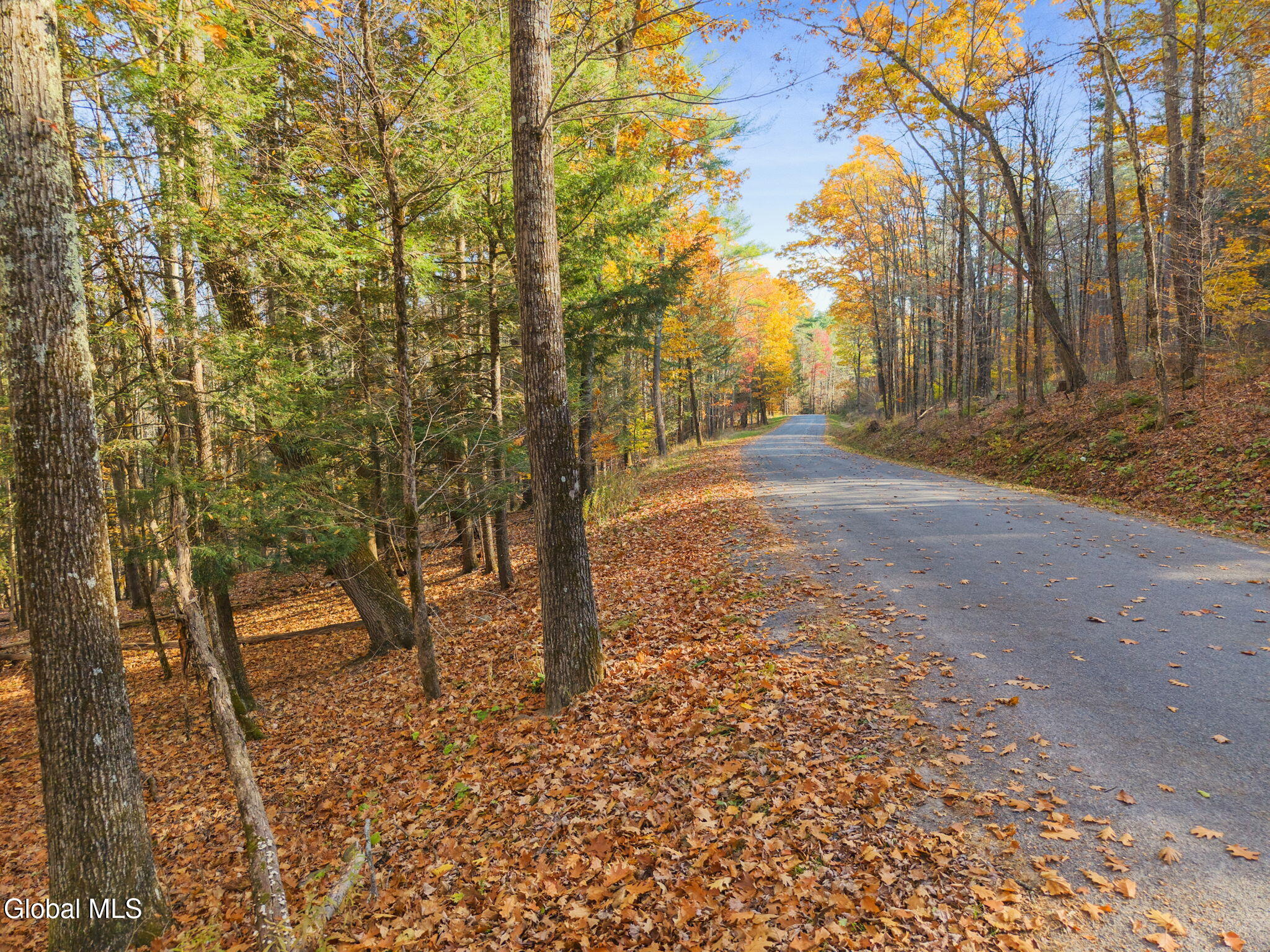 505 Gridley Road Middleburgh NY 12122