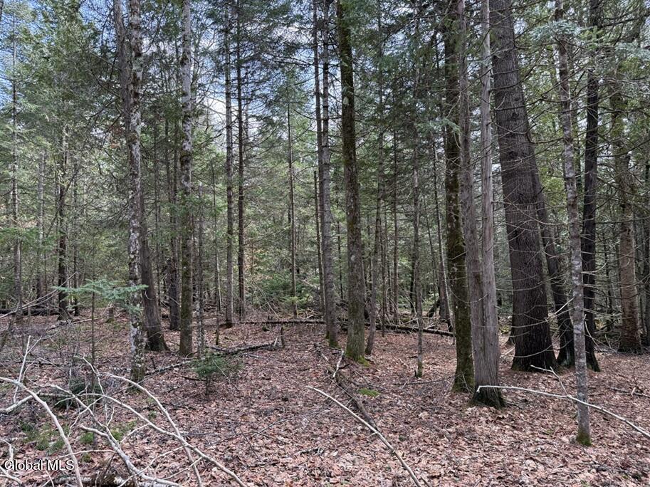 L34.2 Youngs Road Schroon Lake NY 12870