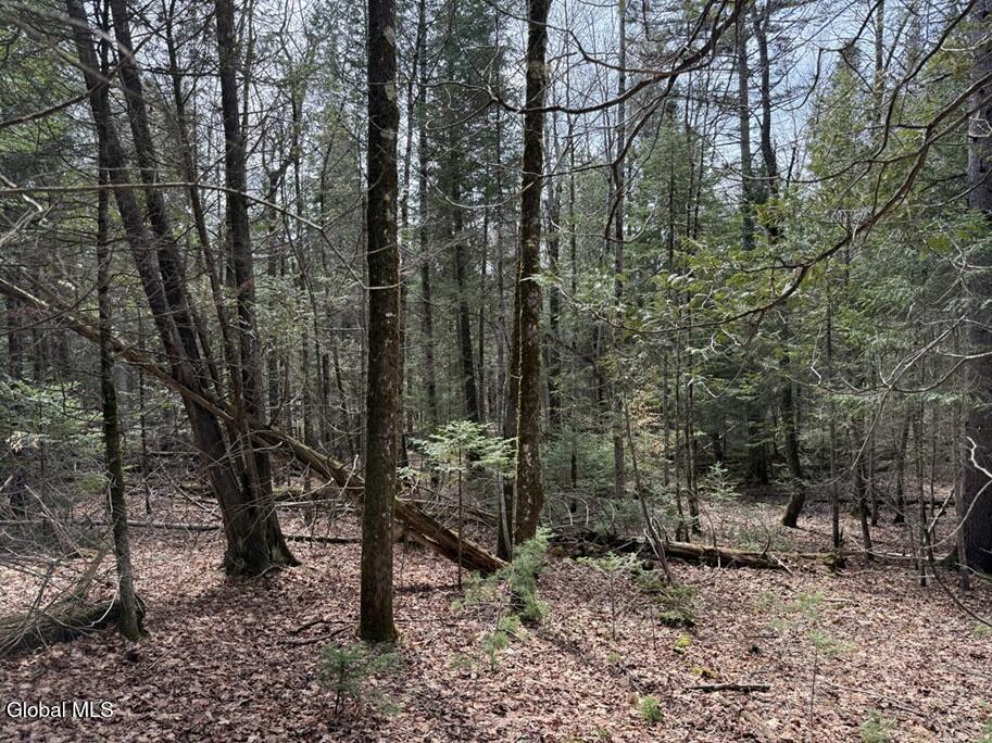 L34.2 Youngs Road Schroon Lake NY 12870