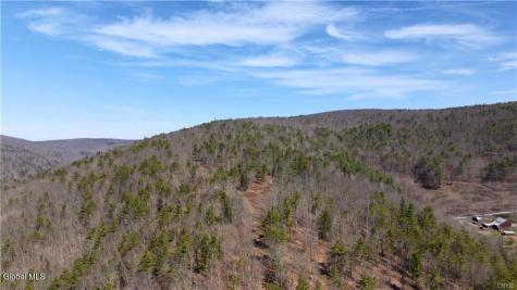285 Patria Road Warnerville NY 12187