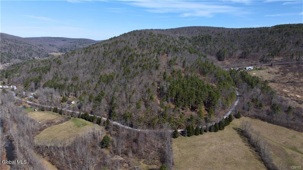 285 Patria Road Warnerville NY 12187