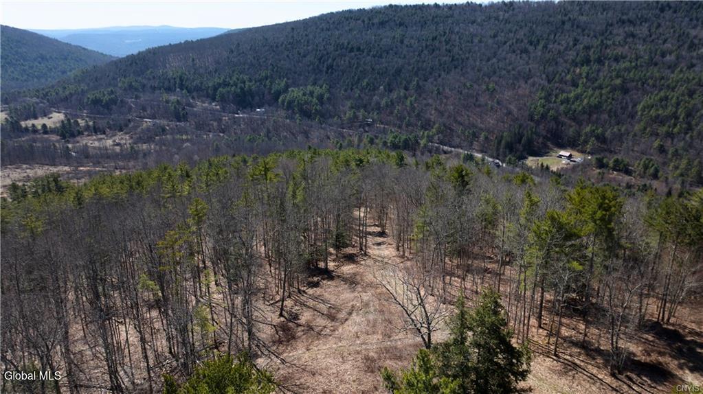 285 Patria Road Warnerville NY 12187