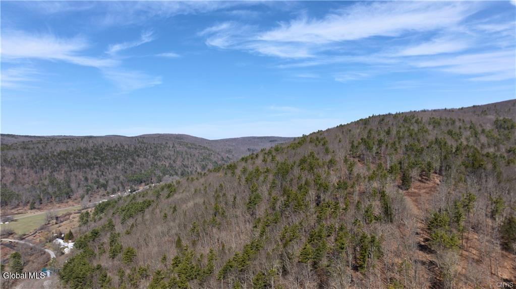 285 Patria Road Warnerville NY 12187