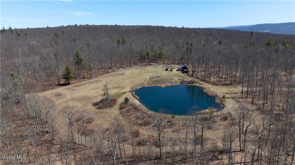 285 Patria Road Warnerville NY 12187