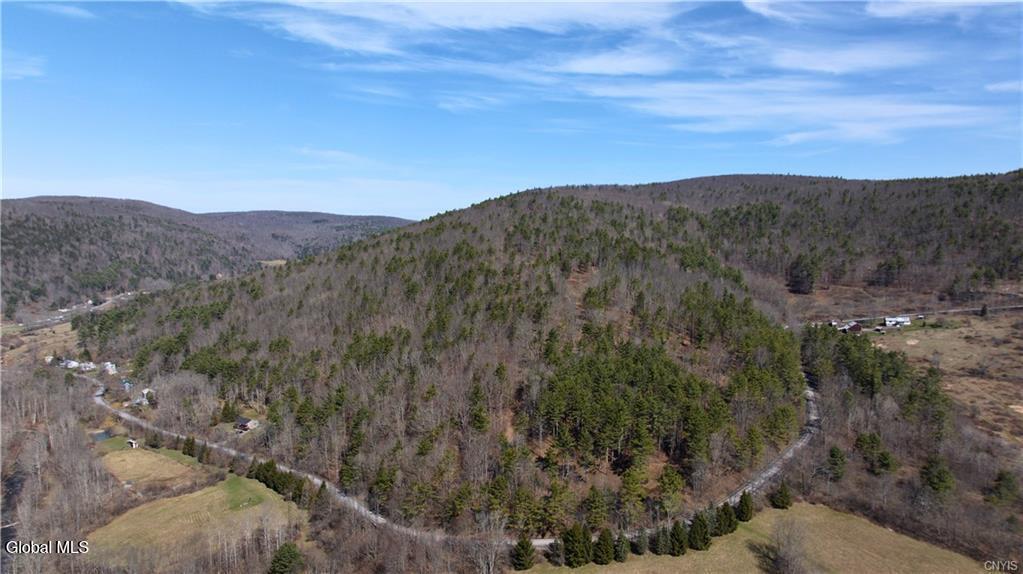 285 Patria Road Warnerville NY 12187