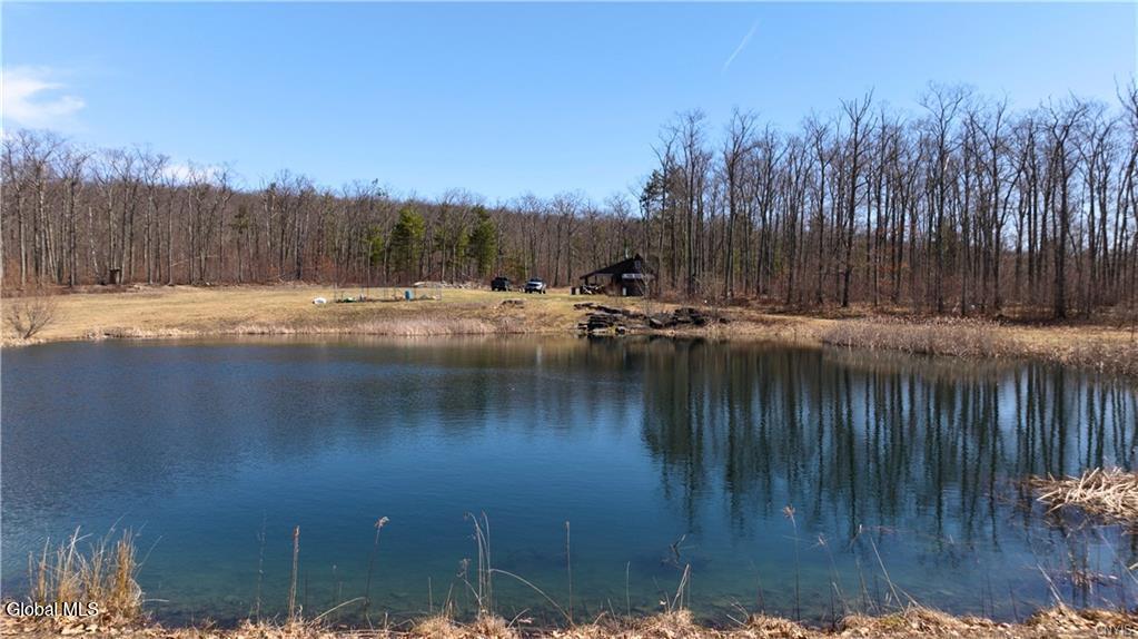 285 Patria Road Warnerville NY 12187