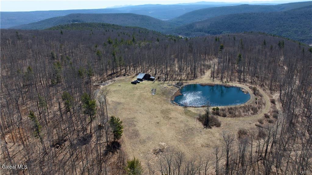 285 Patria Road Warnerville NY 12187