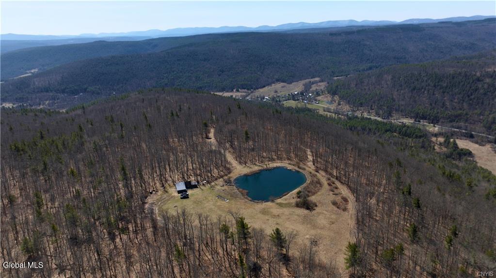 285 Patria Road Warnerville NY 12187