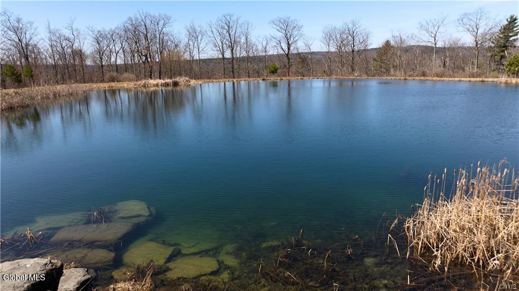 285 Patria Road Warnerville NY 12187