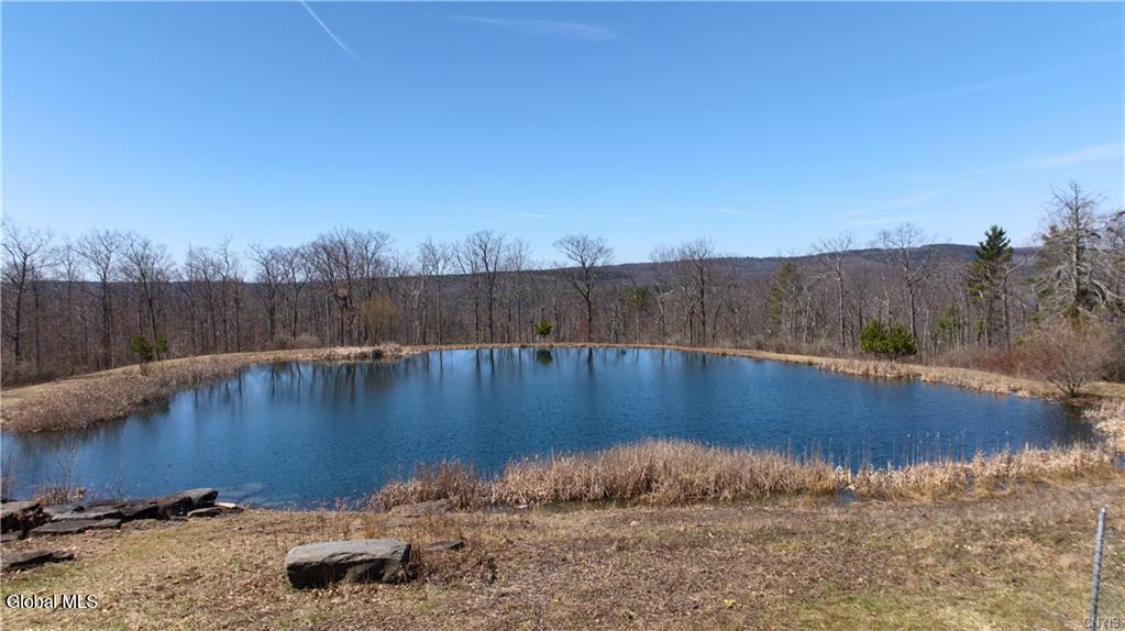 285 Patria Road Warnerville NY 12187