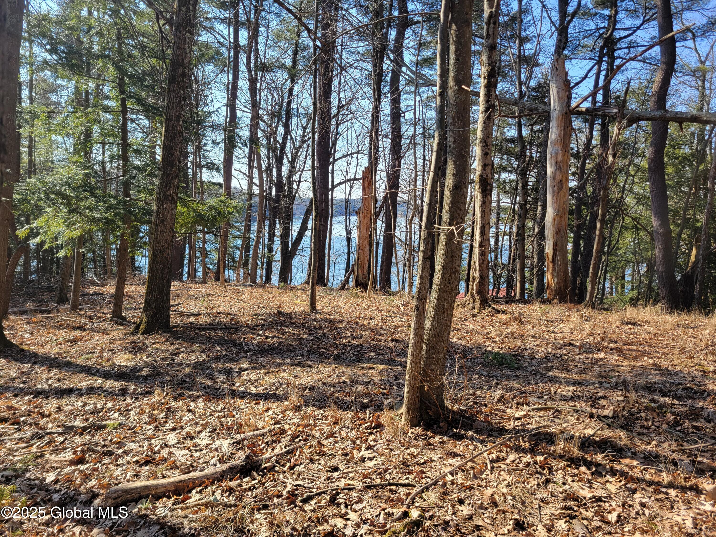 56 Blue Heron Drive Averill Park NY 12018