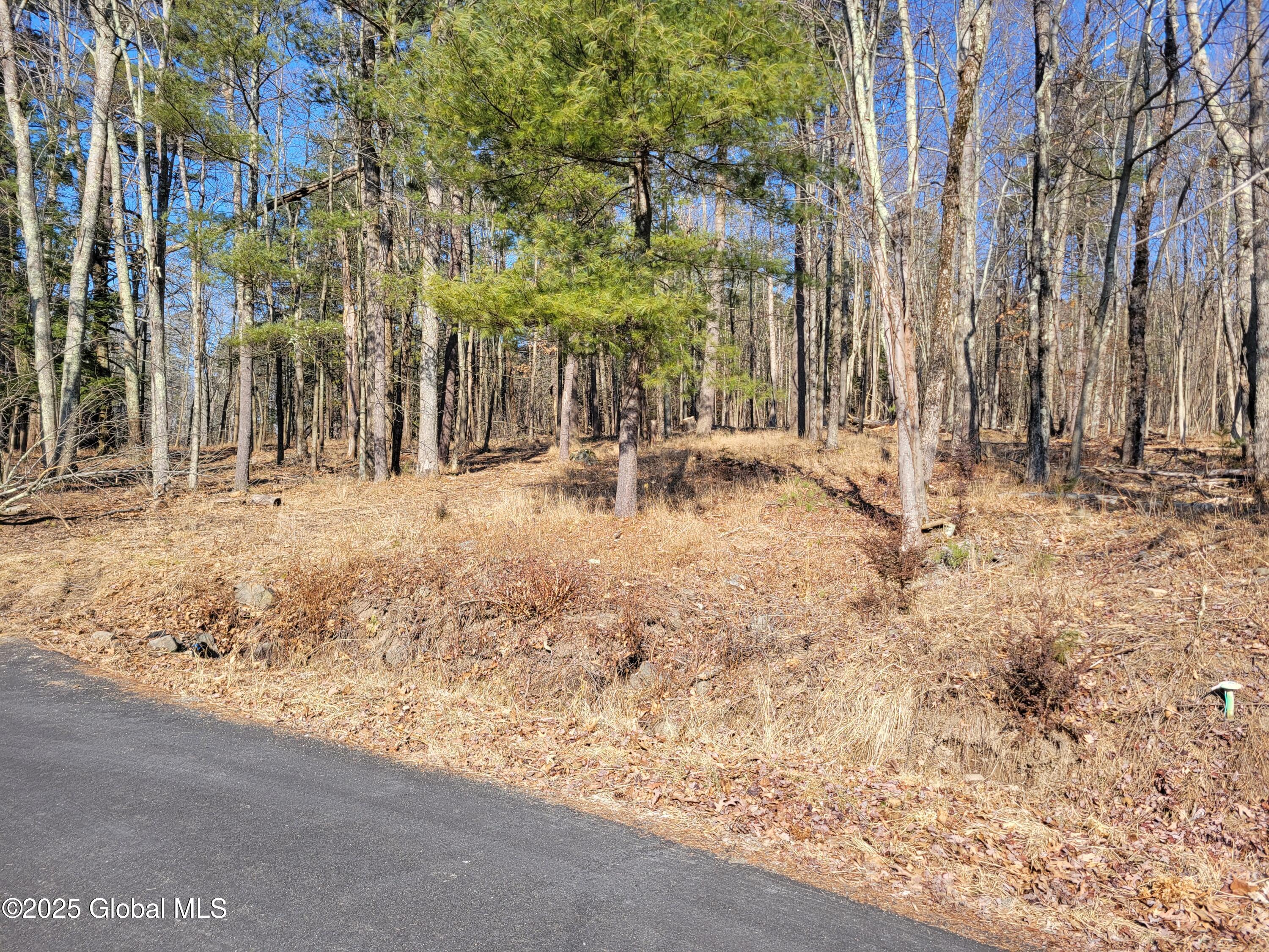 56 Blue Heron Drive Averill Park NY 12018