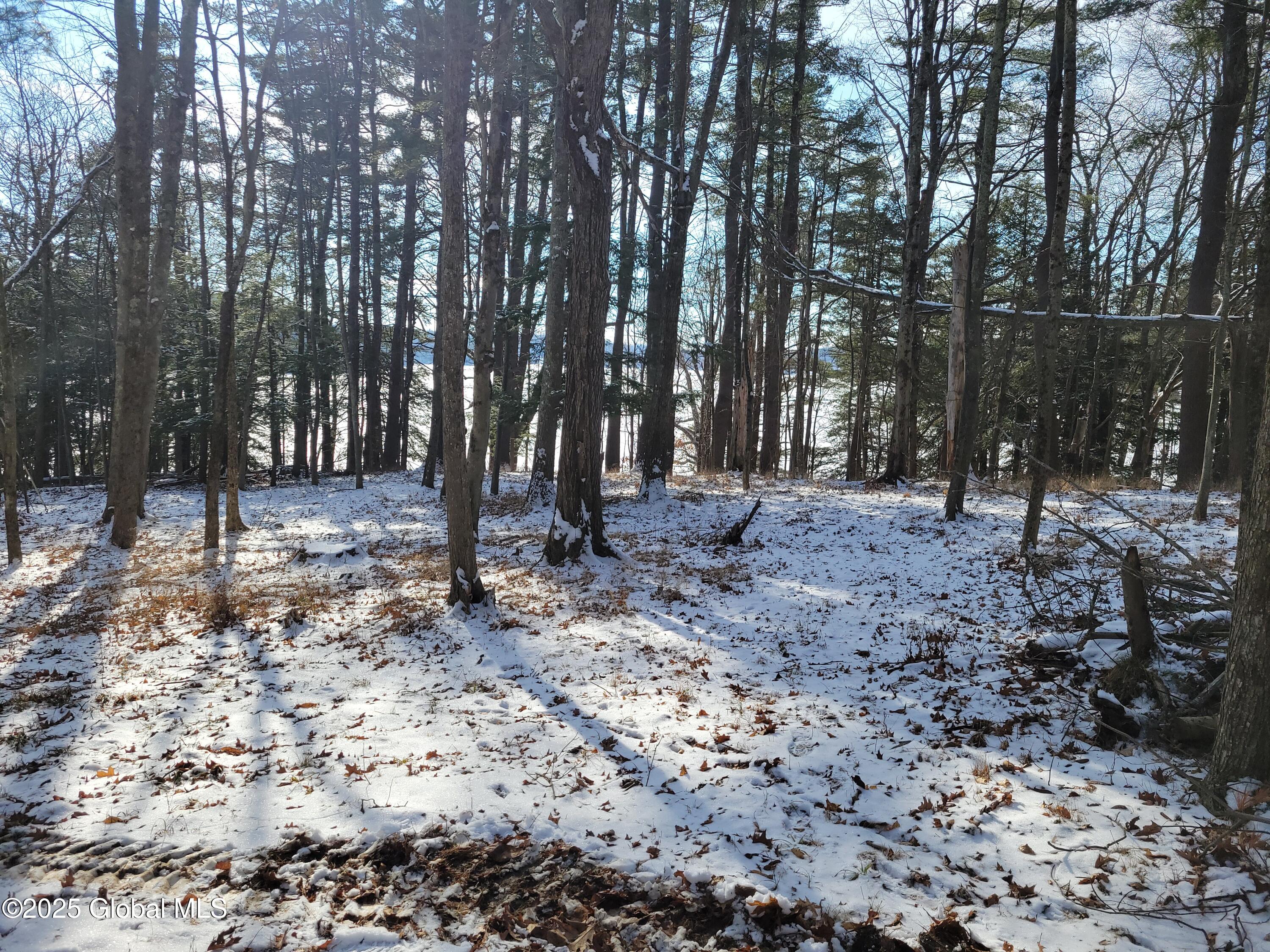 56 Blue Heron Drive Averill Park NY 12018