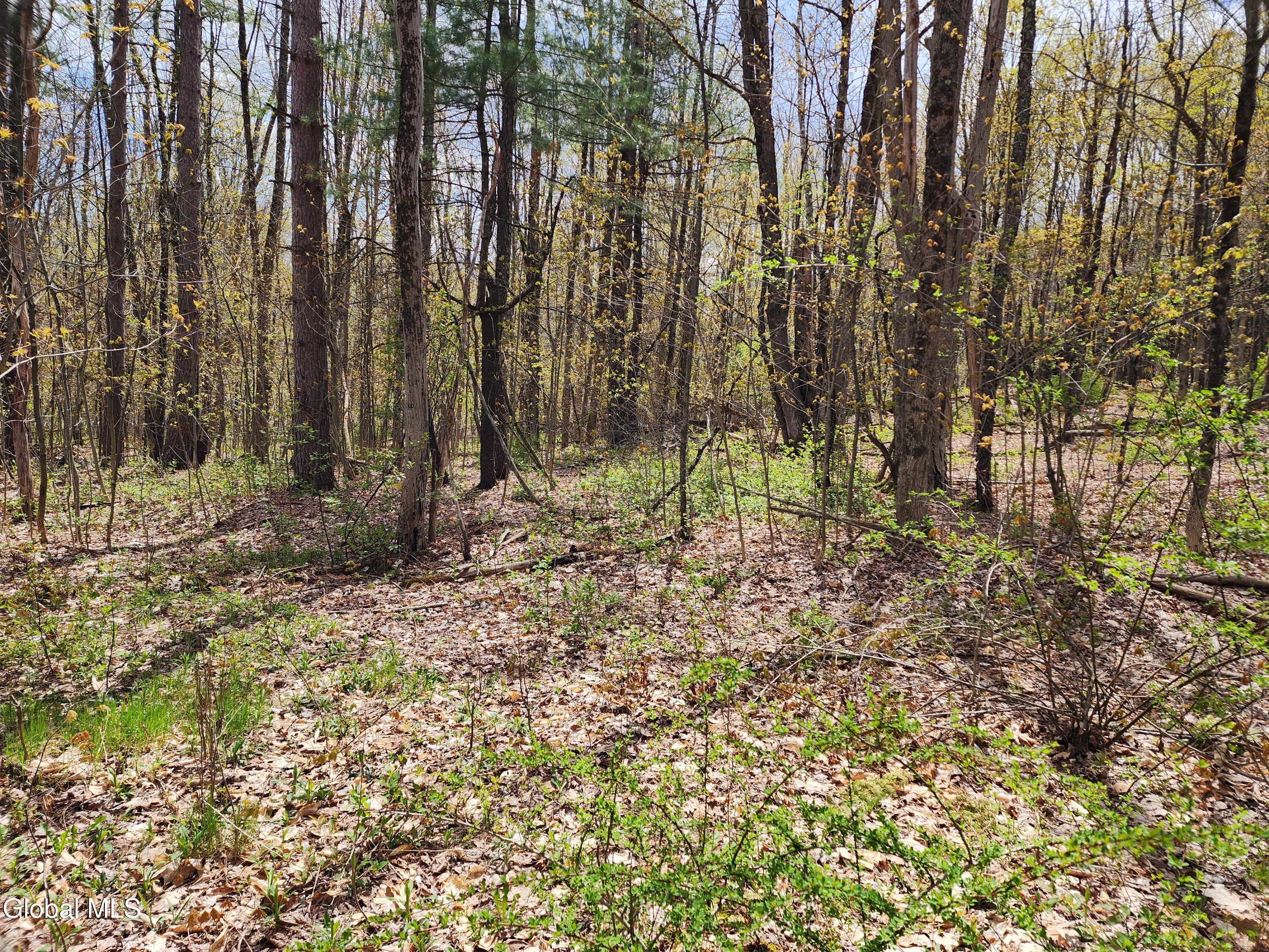L 27 Ny 2 Grafton NY 12082